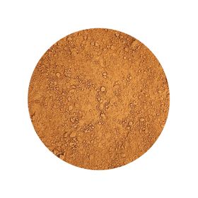 Ciupercă Migdalată Pudră Agaricus Blazei Bio