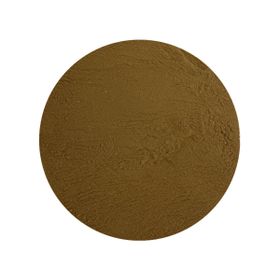 Extract de Reishi 30% Bio