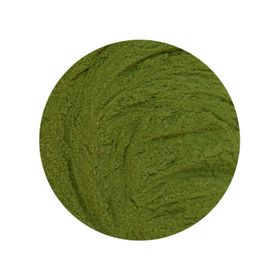 Pătrunjel Pudră Bio