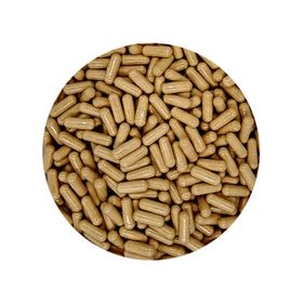 Maitake Capsule 450 mg Bio