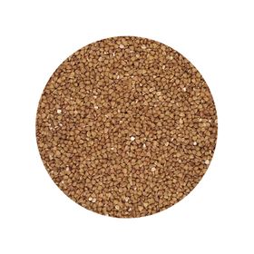 Kasha Bio