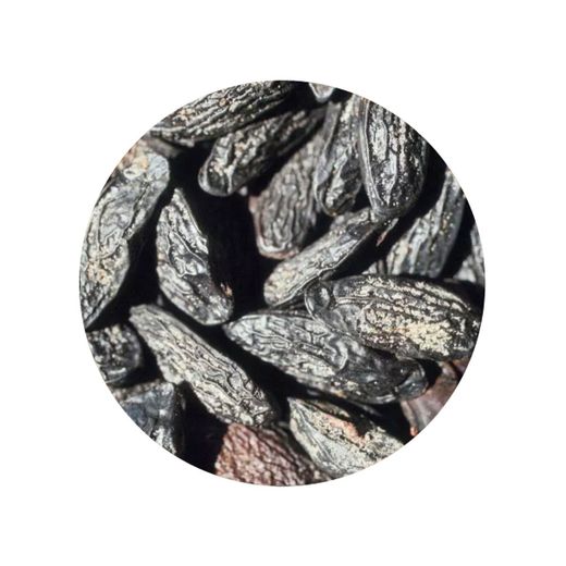 Fasole Tonka imagine principală foarte biologică
