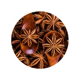 Anason Stelat Întreg Bio
