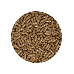Cordyceps Capsule 500 mg Bio