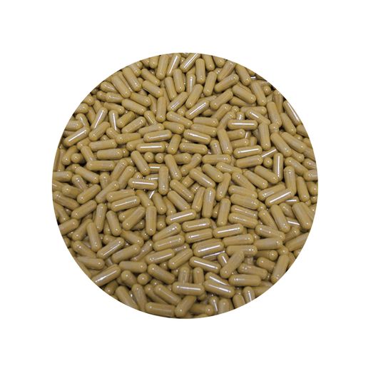 Lions Mane Capsules Organic 450mg
