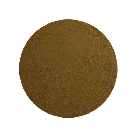 Reishi Extract 30% Biologisch hoofdafbeelding