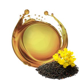 Ulei de Rapiță DB Bio 25 kg