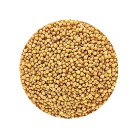 Semințe de Muștar Întregi Galbene Sărace în Acid Erucic Bio