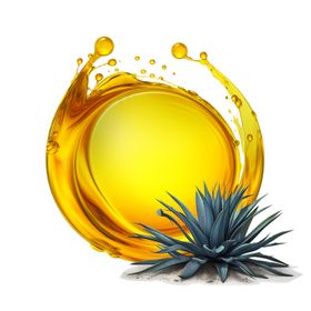 Sirop de Agave Ușor Bio