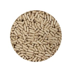 Complex de 15 Tulpini de Culturi Bacteriene Capsule 425 mg