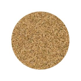 Orez Integral Basmati Bio