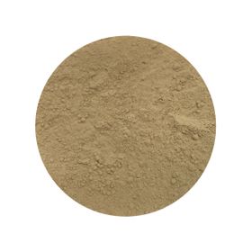 Lion's Mane Pudră Bio