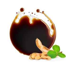 Tamari Sos de Soia Bio