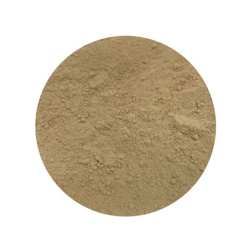 Pulbere organică de Lion's Mane