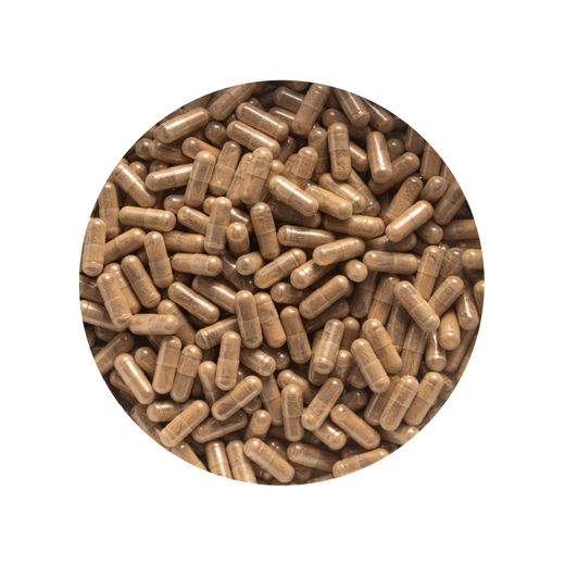 Shilajit Capsules