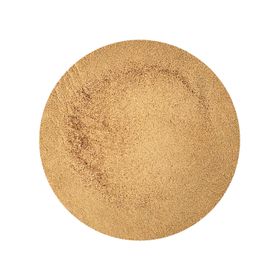 Ciupercă de Cultură Pudră Agaricus Bisporus Bio