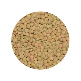 Linte Verde Laird Bio