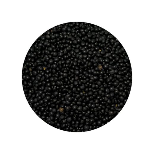 Beluga Lentils Organic
