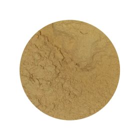 Ciupercă Cordyceps Sinensis Pudră Bio