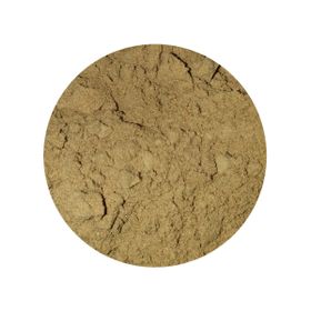 Hrib Pudră Boletus Bio