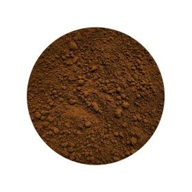 Ciupercă Chaga Pudră Bio