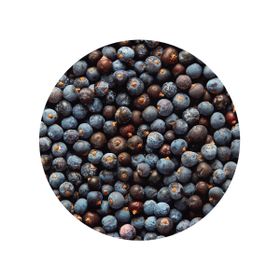 Fructe de Ienupăr Întregi Microbiologic Redus Bio