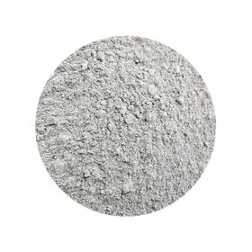 Ciupercă Urechea lui Iuda Pudră Auricularia judae Bio