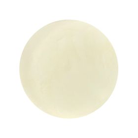 Suc Concentrat de Portocale Pudră Bio
