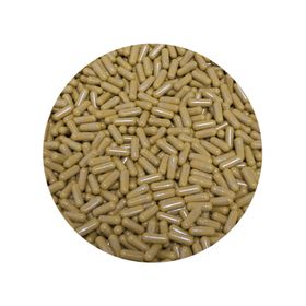 Lion's Mane Capsule 450 mg Bio
