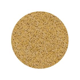 Orzo (Risoni) Bio