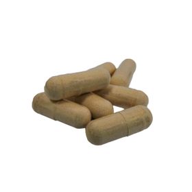 Shiitake Capsule 450 mg Bio