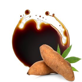 Sirop de Yacon Bio