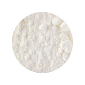 Lapte de Cocos Pudră Bio