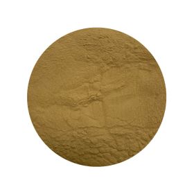 Extract de Lion's Mane 30% Bio